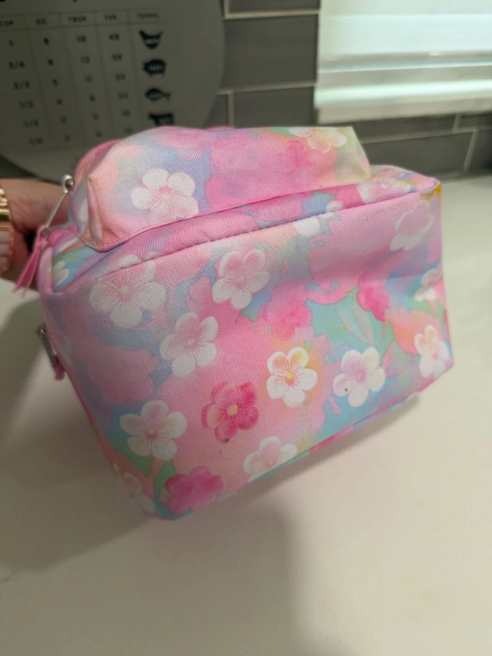 Jansport insulated bag